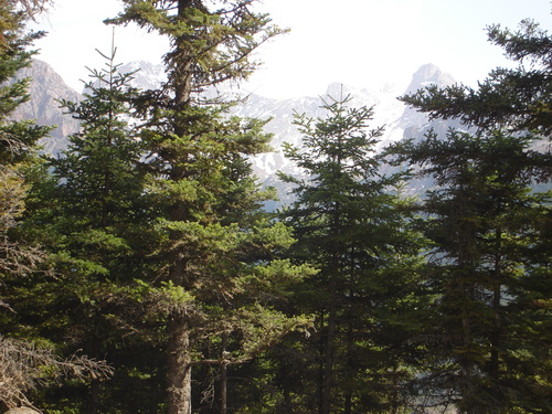 1-nafpaktia 29.jpg